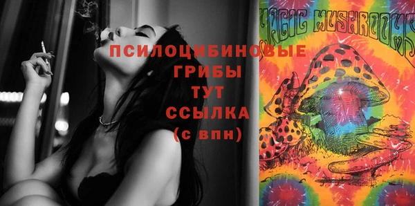 амф Абаза