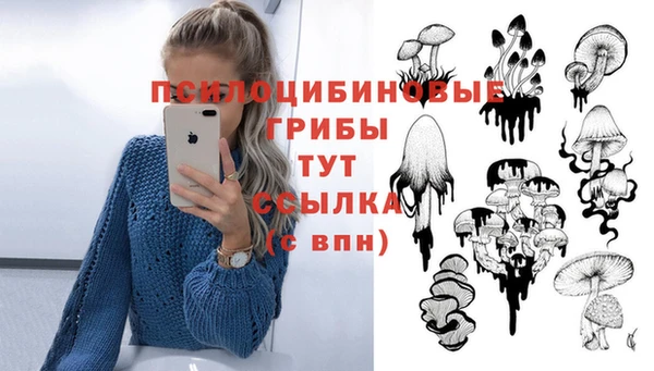 спайс Абинск