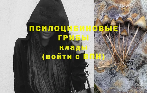 СК Абдулино
