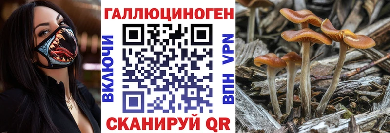 цены Астрахань mega как войти Псилоцибиновые грибы Magic Shrooms