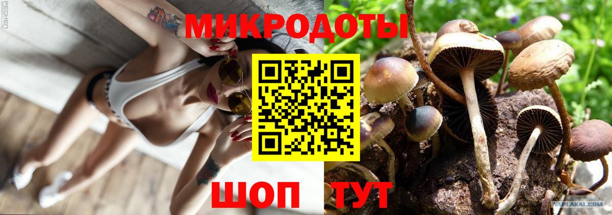 Астрахань  Псилоцибиновые грибы GOLDEN TEACHER  Псилоцибиновые грибы MAGIC MUSHROOMS  Вход с VPN 
